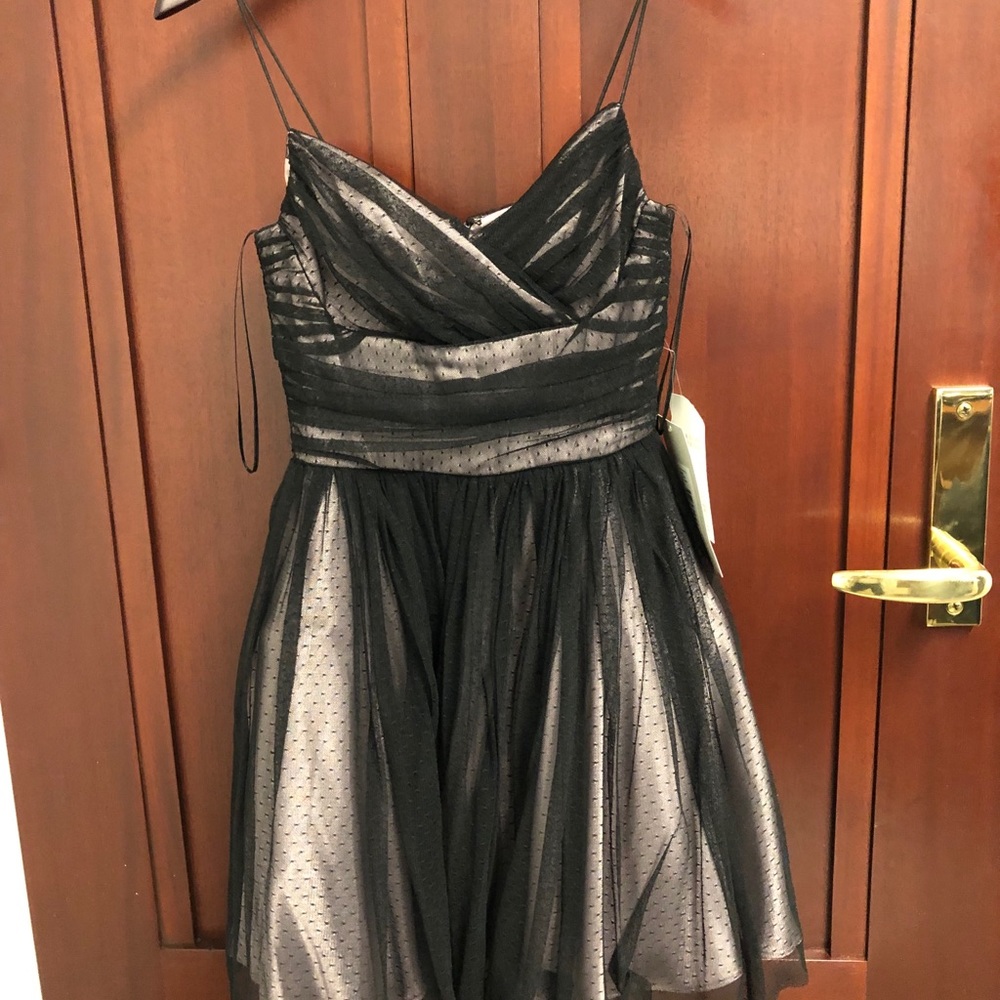 NWT Jill by Jill Stuart Tulle V-Neck Dress 👗